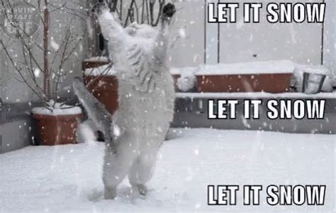 let it snow meme|let it snow emoji.